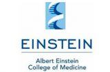 Albert Einstein College of Medicine