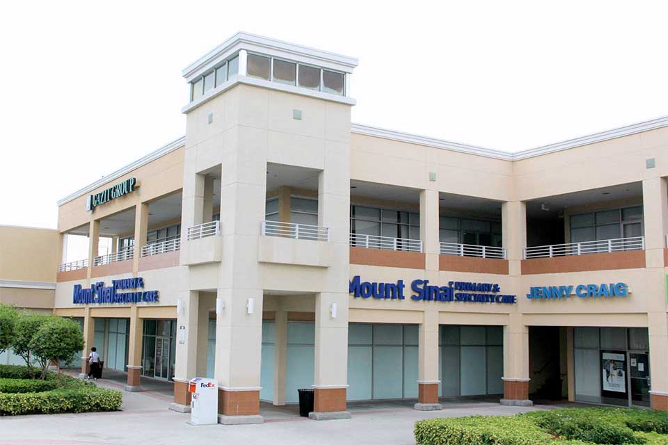 Mount Sinai Medical Center Skylake