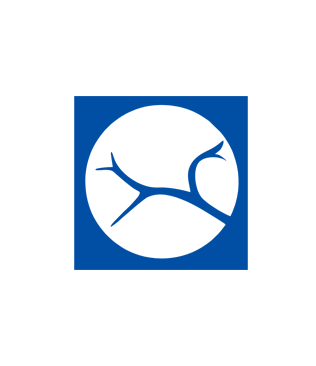 Vascular & Interventional Radiology 
