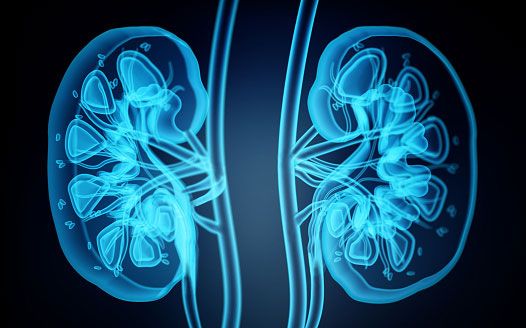 Kidney health