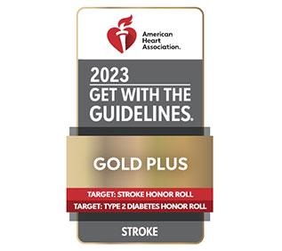 Gold Plus 2023