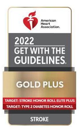 gold-plus-2022-award-2